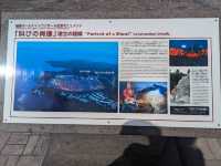 🇯🇵【鹿児島】桜島モニュメント「叫びの肖像」！(^^)