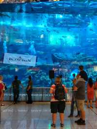 Shopping, Sharks & Skyline: The Mall That Has Everything