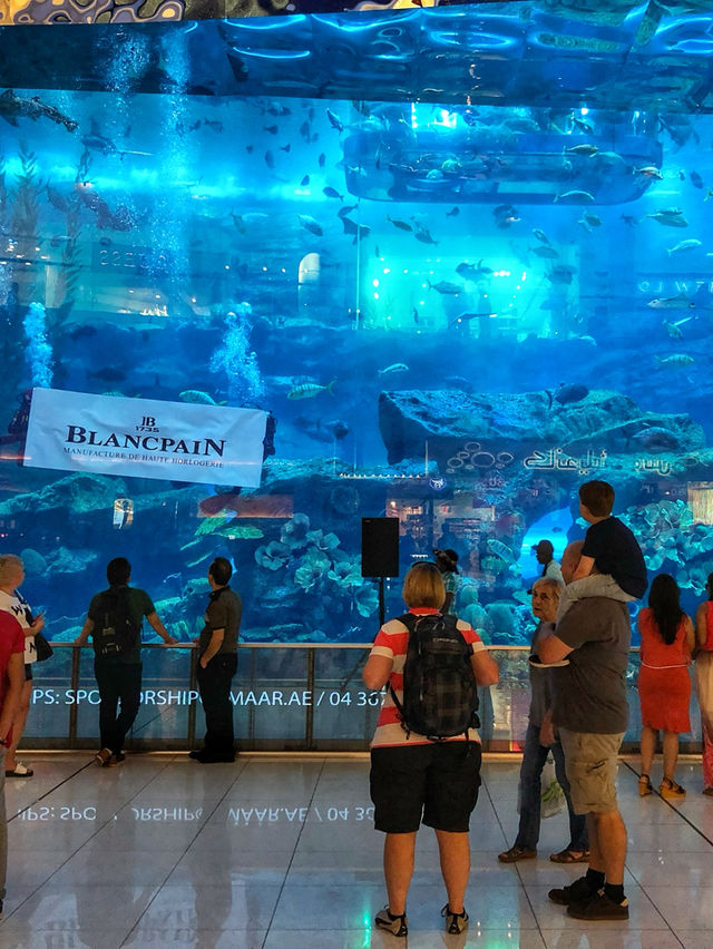 Shopping, Sharks & Skyline: The Mall That Has Everything