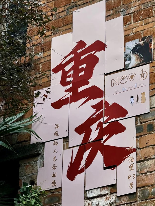 端午佳節好去處⛱️重慶多天旅行小攻略！