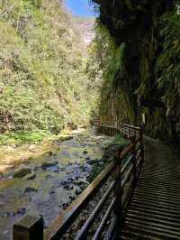 Exploring Zhangjiajie Grand Canyon