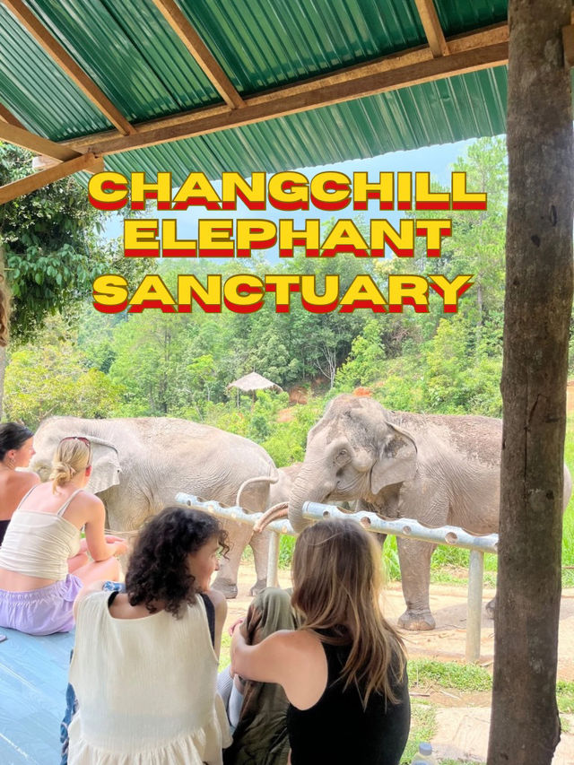 Best Elephant Sanctuary in Thailand
