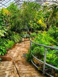 Allan Gardens Conservatory – Toronto’s Historic Green Oasis