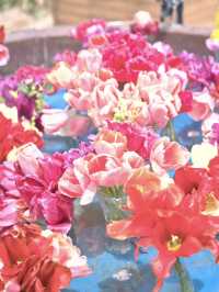 丘一面の春色パレット絶景に包まれる幸せな時間🌷🌼🌸※観光攻略情報付き