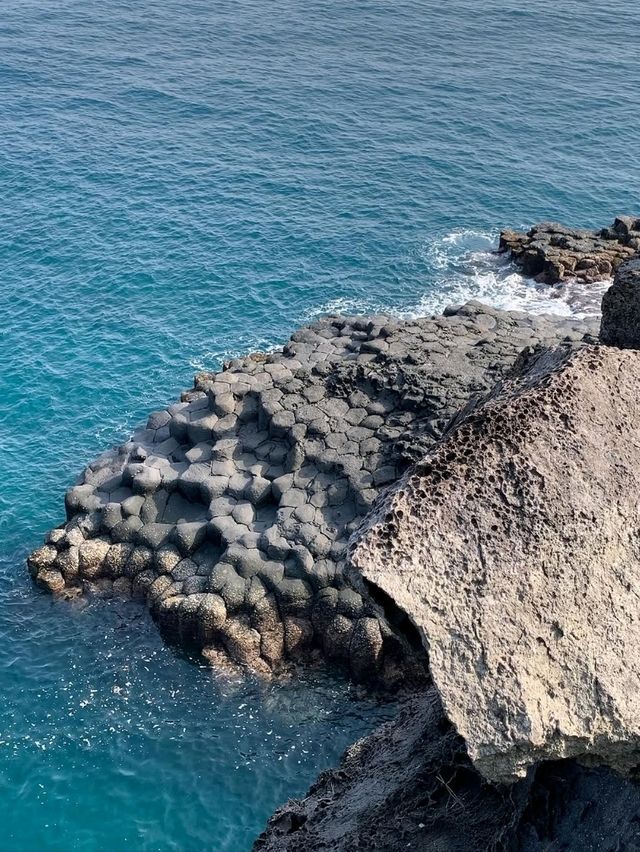 Nature’s Geometric Flex by the Sea
