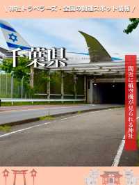 【千葉県】間近に航空機が見られる神社