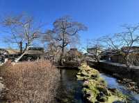 Morning at Oshino Hakkai: Where Fuji’s Waters Whisper