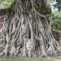 Wat Mahathat in Ayutthaya