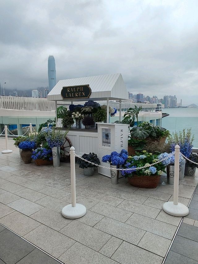 靚花 靚景 靚人