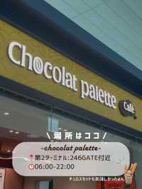🇰🇷✈️仁川空港で食べる濃厚チョコソフト🍦