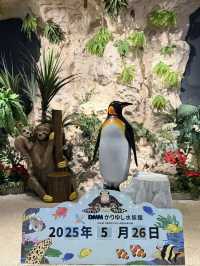 沖繩｜麻雀雖小、五藏俱全，DMM水族館主打互動體驗