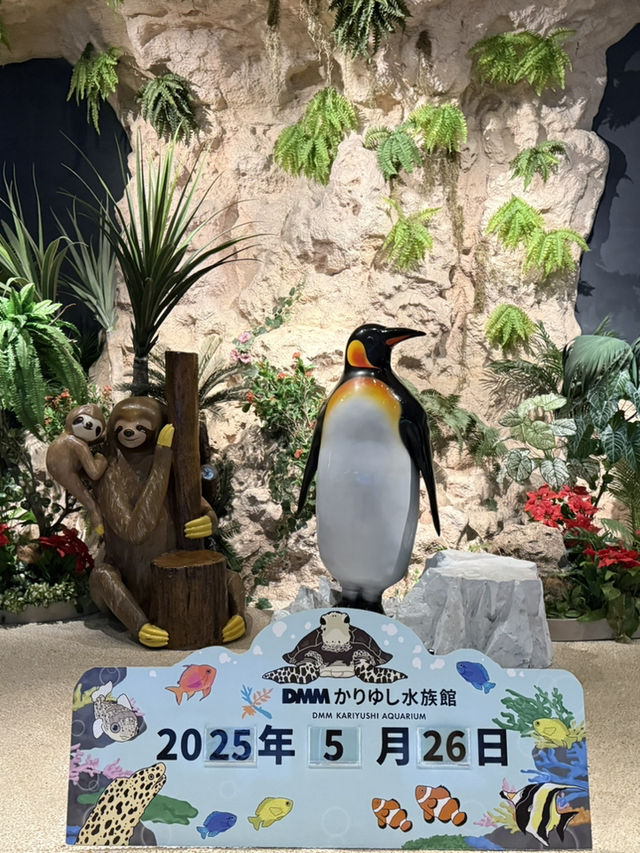 沖繩｜麻雀雖小、五藏俱全，DMM水族館主打互動體驗