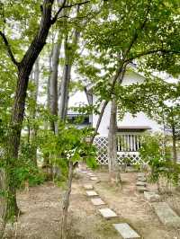 A Day of Art & History in Matsumoto, Nagano 🖼️🏞️