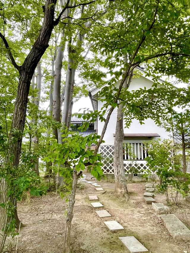 A Day of Art & History in Matsumoto, Nagano 🖼️🏞️