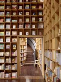 📚🌲**【遠野 こども本の森】 建築と本と自然が出会う、心をひらく森の図書館**