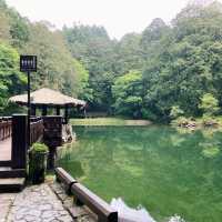 🌿阿里山姊妹潭｜靜謐如詩的山林秘境