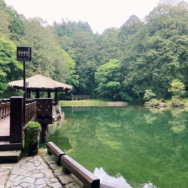 🌿阿里山姊妹潭｜靜謐如詩的山林秘境