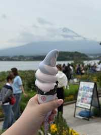 Fuji Day Trip booked on Trip.com!