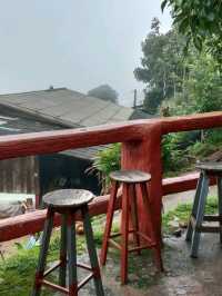 ดื่มกาแฟลาเต้ ท่ามกลางบรรยากาศในสายหมอก ที่ดอยปุย