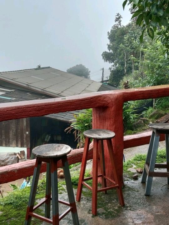 ดื่มกาแฟลาเต้ ท่ามกลางบรรยากาศในสายหมอก ที่ดอยปุย
