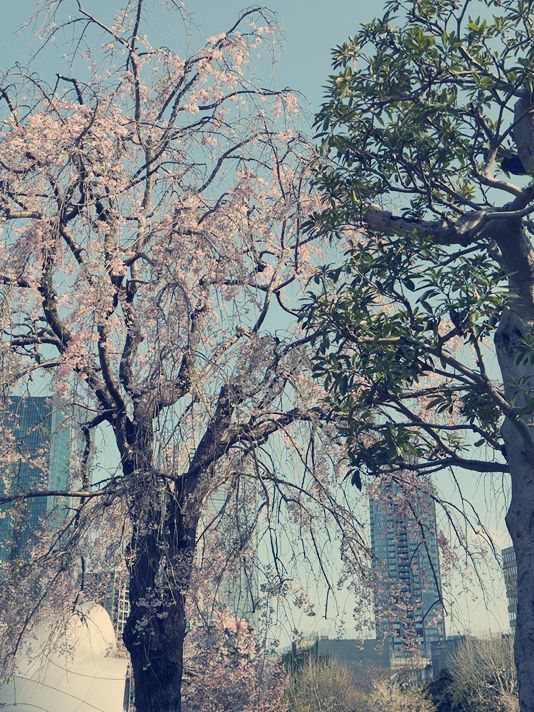   東京六本木購物攻略｜時尚與藝術兼備的伴手禮精選