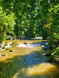 English Garden – Munich’s Green Heartbeat