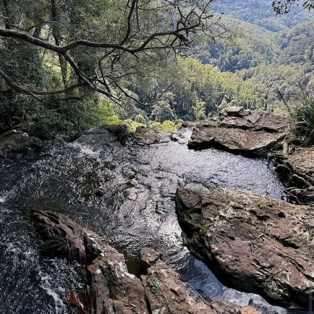 Springbrook National Park – QLD