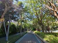 深圳最悠閒的海濱單車徑🚲海上世界至深圳灣公園