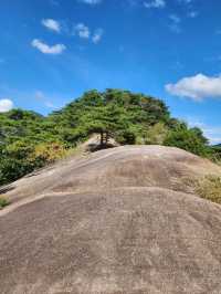 Daemisan Akeobong, Small Mountain, Big Feels