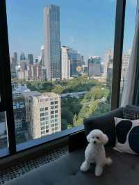 🌺 Kimpton Vibes in Bangkok: Where City Cool Meets Lush Comfort