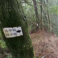 五峰山採桃樂及五指山登山趣
