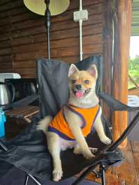 ภูผาม่าน จ.ขอนแก่น #pet friendly 