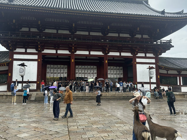 東大寺：在奈良探訪千年古寺，感受佛教文化的莊嚴與美麗！