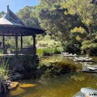 Kings Park & Botanic Garden – Perth, WA