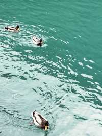 A Boat Trip to Remember on Lake Brienz Quay