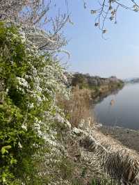 아산여행