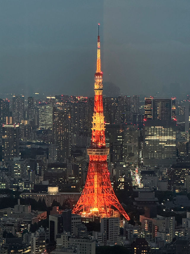 🗼처음이라 더 좋았던 도쿄 3박 4일 여행기