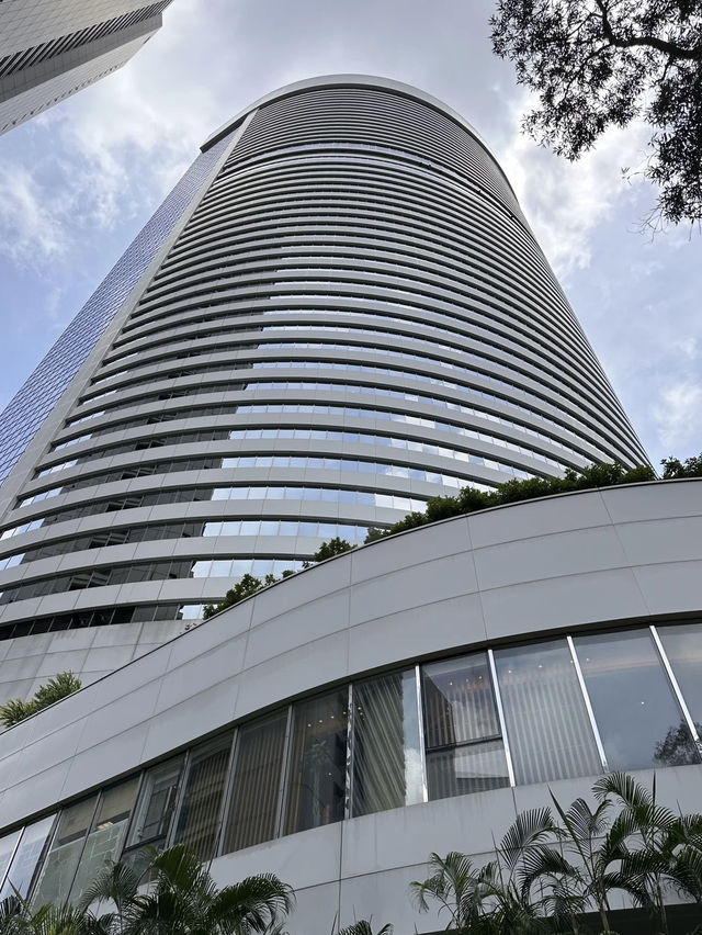 Hong Kong Park – A Lush Urban Sanctuary in Central