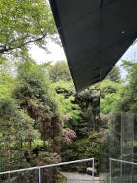 A Serene Harmony of Art & Nature — My Visit to Nezu Museum, Tokyo