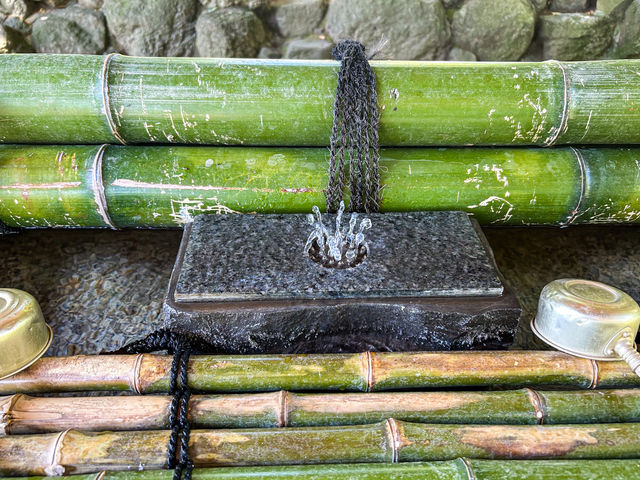【東京都】 緑豊かな樹々に覆われた交通安全のご利益ある神社『鹿嶋神社』⛩️
