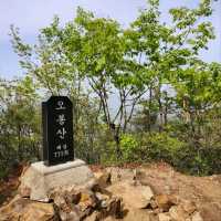 The summit of Mt. Obong