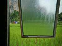 🌾 นอนฟิน กินหมูกระทะ กลางทุ่งนาเขียว 🍃