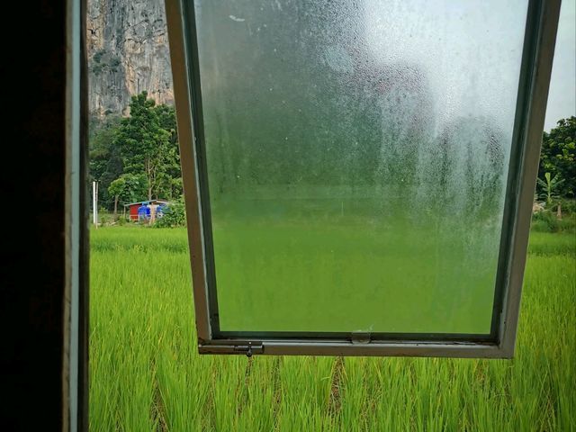 🌾 นอนฟิน กินหมูกระทะ กลางทุ่งนาเขียว 🍃