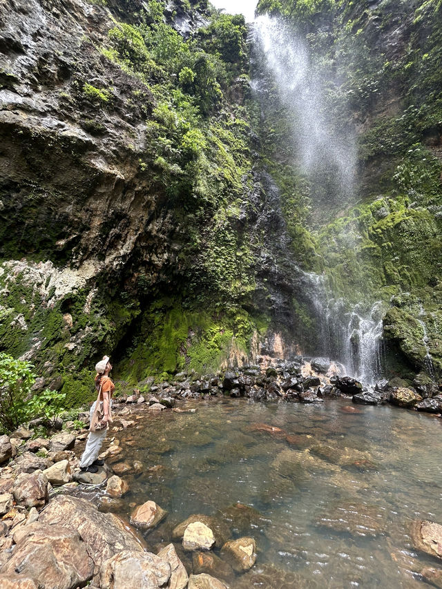 【八丈島】海、山、牧場、自然溢れるおすすめ絶景スポット！