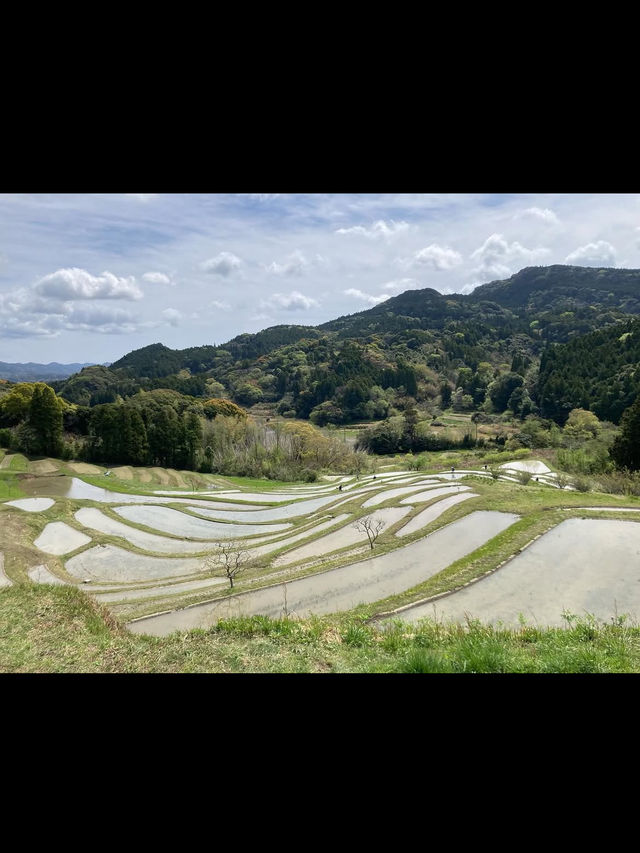 🌾日本の原風景に癒される「大山千枚田」で心洗われる旅を
