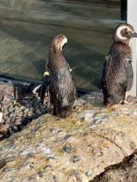 海と語らう場所。うみがたりで出会う、静かな感動🐬