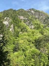 【昇仙峡で渓谷美に癒される旅】奇岩と滝が織りなす絶景ハイキング🌿🏞️