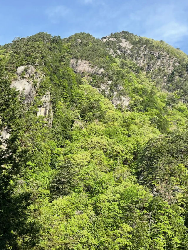 【昇仙峡で渓谷美に癒される旅】奇岩と滝が織りなす絶景ハイキング🌿🏞️