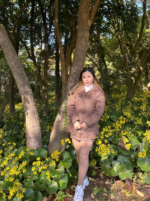 Jeju’s Innisfree Café & Green Tea Fields – A Dreamy Stop for Beauty Lovers and Nature Seekers