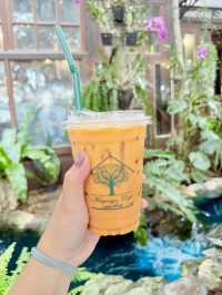 ☕🌿 รีวิว Maysia Café พัทยา ☕🌿